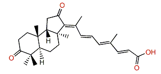 Globostelletin H